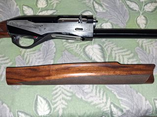 Benelli duca di montefeltro new 2024-thumb-1
