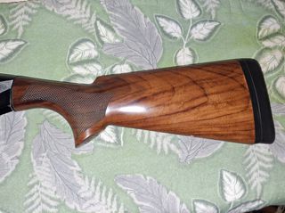 Benelli duca di montefeltro new 2024-thumb-2