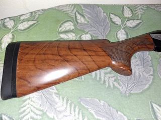 Benelli duca di montefeltro new 2024-thumb-3