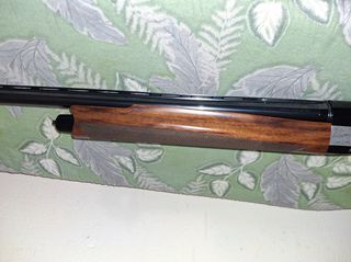 Benelli duca di montefeltro new 2024-thumb-6