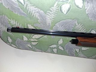 Benelli duca di montefeltro new 2024-thumb-7