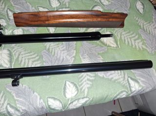 Benelli duca di montefeltro new 2024-thumb-8