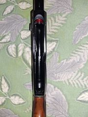 Benelli duca di montefeltro new 2024-thumb-9