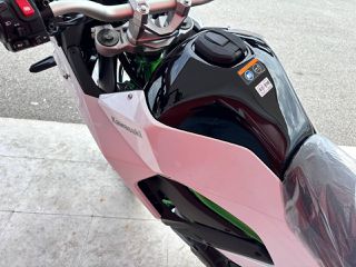 Kawasaki KLE 500 2026 SE-thumb-15