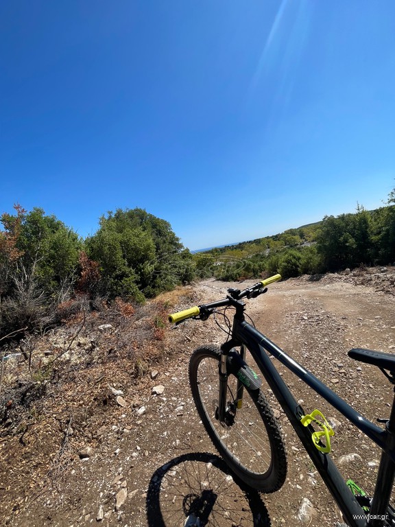 Downhill - Enduro - Trail Cube 2025 Aim.pro