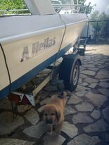 Ahellas 1992-thumb-8