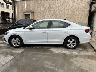 Skoda Octavia 2021-thumb-6