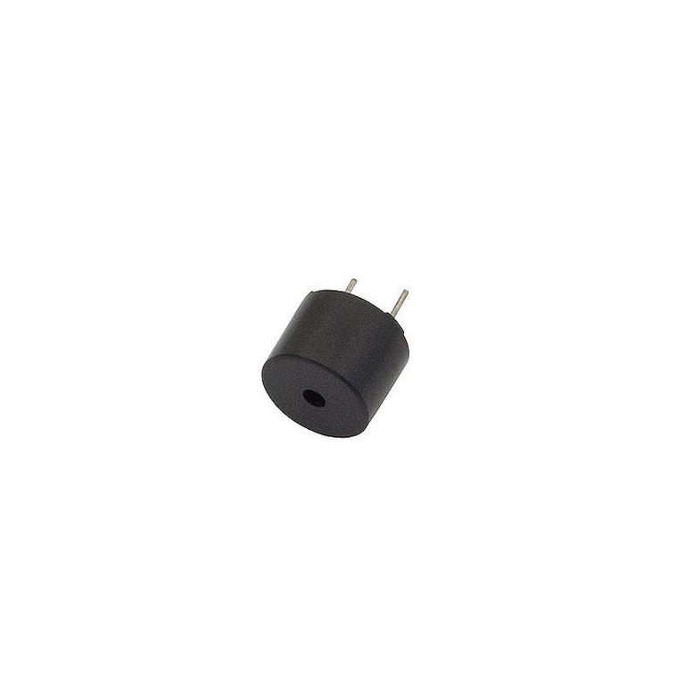 Buzzer 12V (DM-6002)