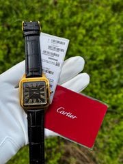Cartier Sandos-Dumond Automatic 3A+ Quality Replica-thumb-6