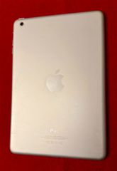 iPad mini-thumb-1