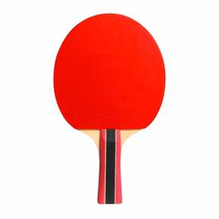 Ρακέτα Πινγκ Πονγκ Cornilleau Sport 433000