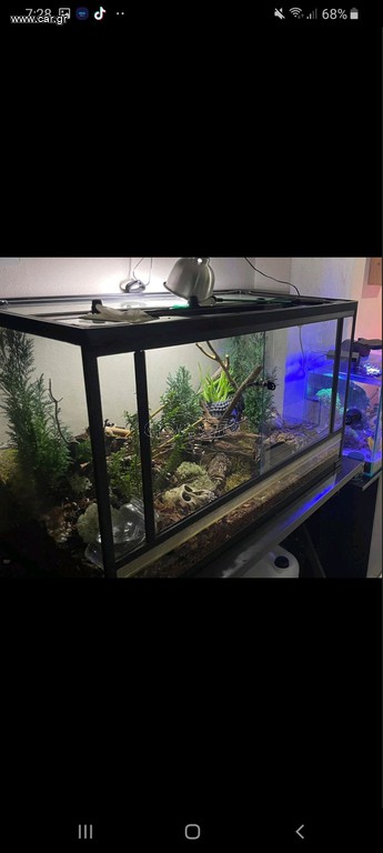 Terrarium