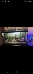 Terrarium-thumb-5