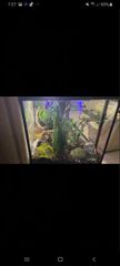 Terrarium-thumb-6