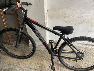 All - Mountain Orient 2021