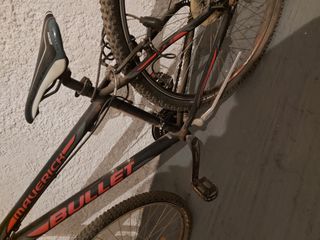 All - Mountain Bullet 2010