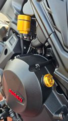 Ducati Diavel 2020 1260S-thumb-20