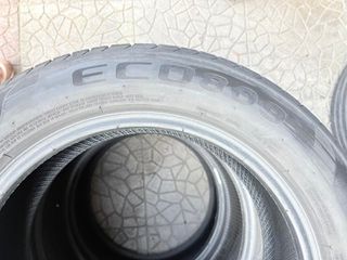 2055516 RAPID ECO 809 DOT 24 (2)-thumb-3