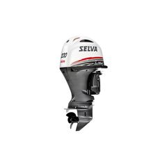 Selva Sei Whale 200XSR