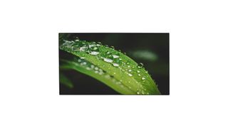 Dahua Videowall Monitor 65” | Bezel 3.5mm | 500 nits | IPS