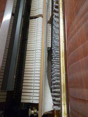 ΠΙΑΝΟ ΣΑΝ ΚΑΙΝΟΥΡΓΙΟ !!!!-thumb-2
