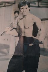 ΠΩΛΕΙΤΑΙ ΓΙΓΑΝΤΟΑΦΙΣΑ ΤΟΥ ΜΠΡΟΥΣ ΛΗ.