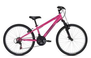 All - Mountain Clermont 2026 Tribal 24"