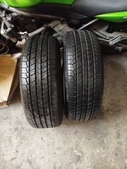 Ζευγάρι RIKEN   225/60/18