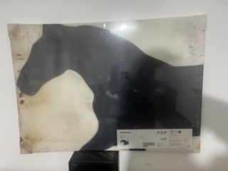 PJÄTTERYD
πίνακας/Σκιά αλόγου, 70x50 cm Ολοκαίνουργιο  Περιοχή νέος κόσμος