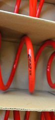 eibach proline 5cm-thumb-1
