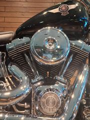 Harley Davidson FAT BOY 2001-thumb-8