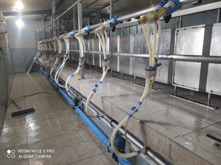 ΑΡΜΕΚΤΙΡΙΟ milk plan 24-thumb-6