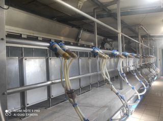 ΑΡΜΕΚΤΙΡΙΟ milk plan 24-thumb-14