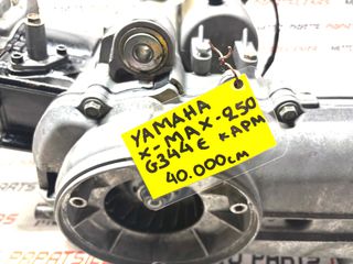ΚΙΝΗΤΗΡΑΣ ΚΟΜΠΛΕ - ΑΡΙΣΤΟΣ!!! -> YAMAHA X-MAX 250 (καρμπυρατερ) ΚΩΔ. G344E (40.000cm) 2005-2007 -> MOTO PAPATSILEKAS-thumb-3