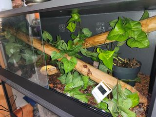 Terrarium-thumb-1