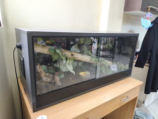 Terrarium-thumb-2