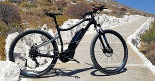 All - Mountain Haibike 2019 SDURO HardNine 1.0