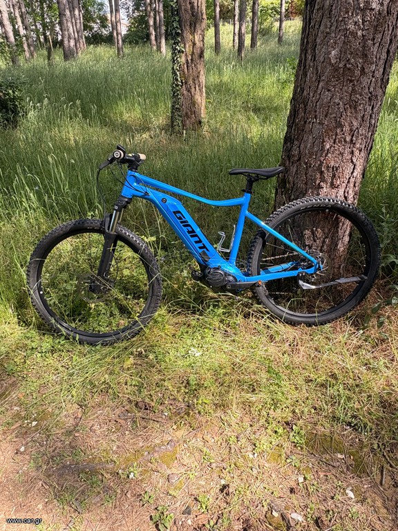 All - Mountain Giant 2025 giant talone