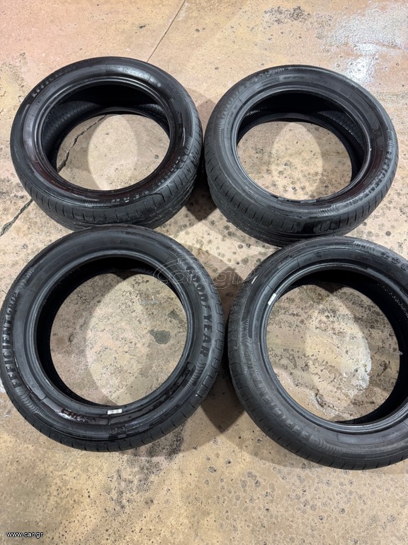 205/55/R17 Goodyear Efficient Grip