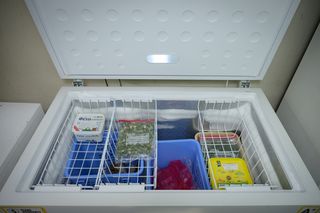 freezer-thumb-5