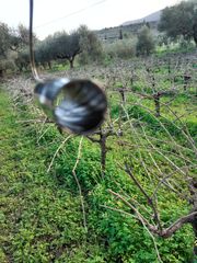 ΤΣΟΚ BENELI ΔΙΑΣΠΟΡΕΑΣ-thumb-1