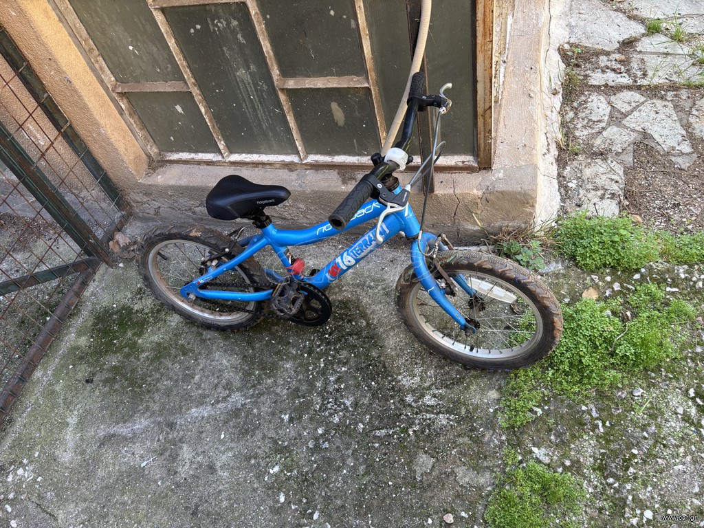 BMX Ridgeback 2022 MX 16 TERRAIN