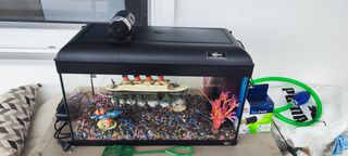 haquoss Evo 60 aquarium