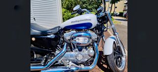 Harley Davidson Sportster 883 2016 Super low-thumb-18