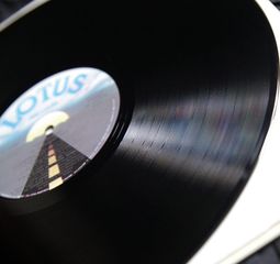 FAST DOMINO - 20 GREATEST HITS-thumb-6
