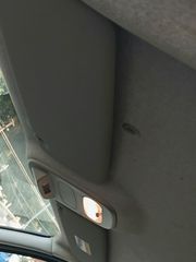 Renault Trafic 2019 120 PS. ΡΑΦΙΑ WURT-thumb-40