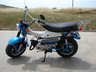 Suzuki RV 50 1981