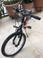 Trekking Ideal 2020