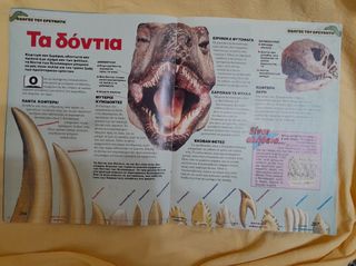 τεύχη Δεινόσαυροι 1995-thumb-19