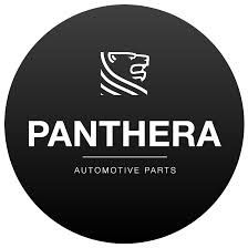 AUDI PANTHERA PARDUS PEDAL BOOST S1, S3, S4, S5, S6, S7, S8 RS3, RS4, RS5, RS6  made in germany